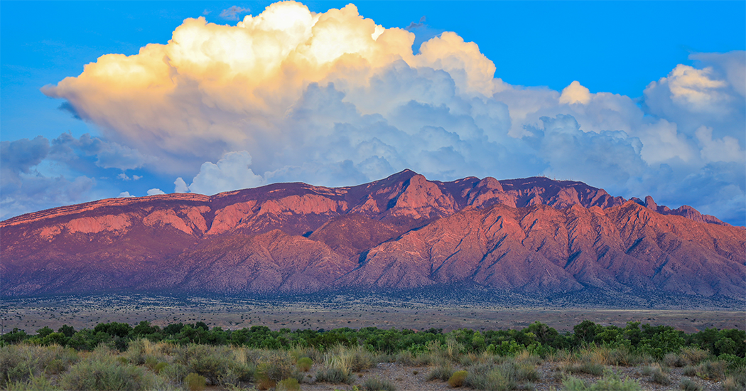 Banner of patient and therapist holding hands